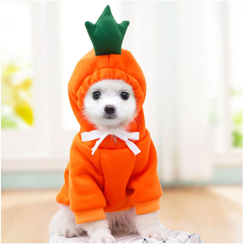 Cute Fruit Dog Clothes for Sma - огляд і ціна Winter Clothing Pictures
