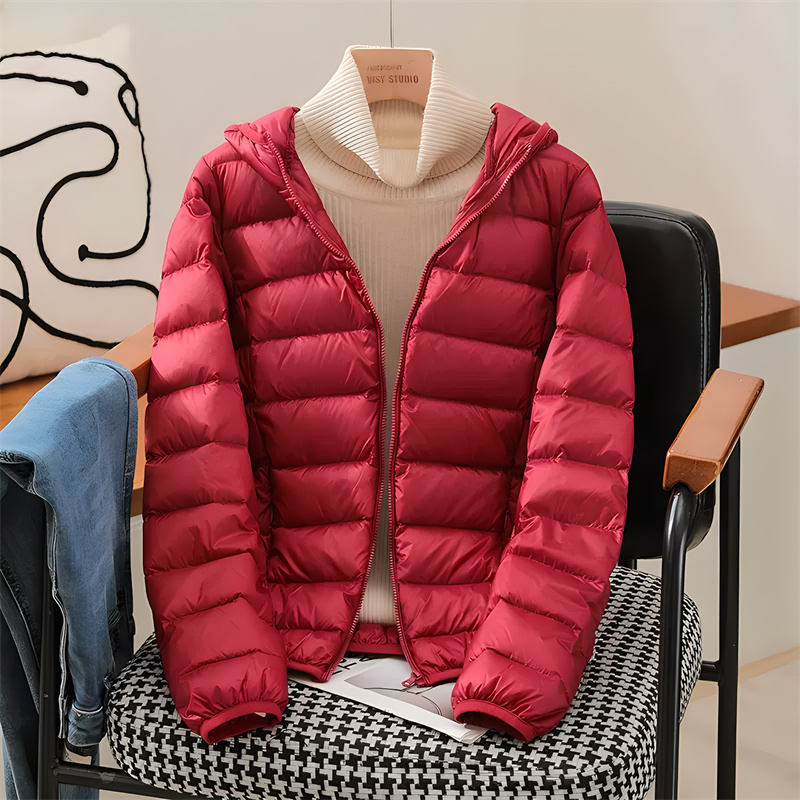 Plus Size Women Hooded Korean  - огляд і ціна Puffer Jacket Women Down
