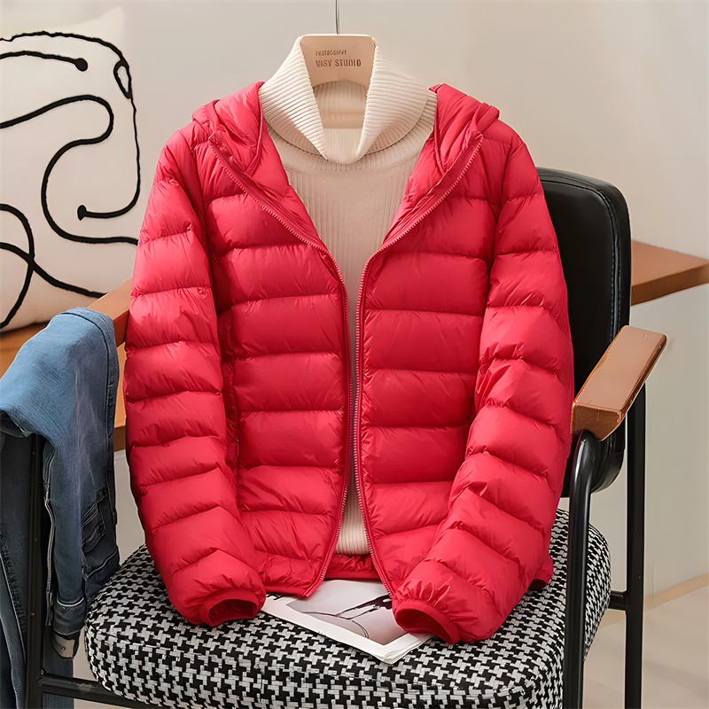 Plus Size Women Hooded Korean  - огляд і ціна Puffer Jacket Women Down